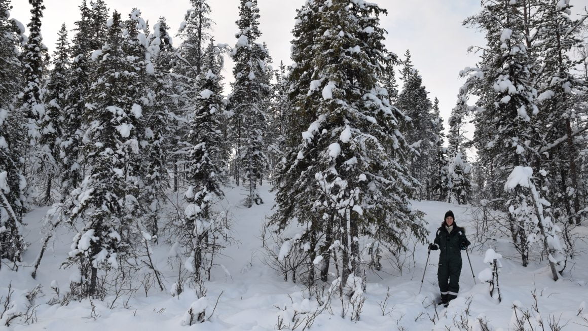 Attività invernali da fare in Lapponia, a Kiruna