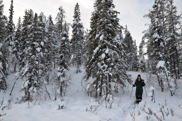 Attività invernali da fare in Lapponia, a Kiruna