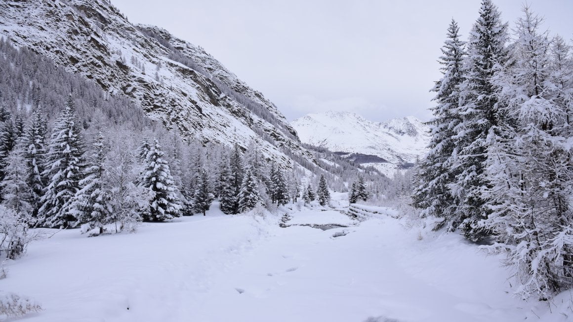 Vacanze a Cogne, la perla della Valle d’Aosta