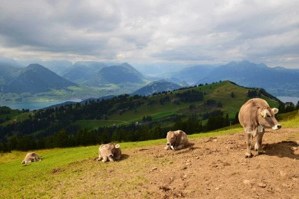 Cosa vedere in Svizzera: un weekend tra Lucerna e il Monte Rigi