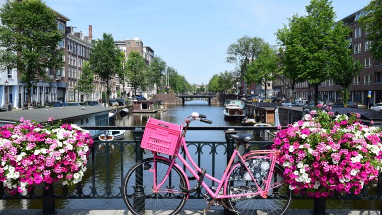 Amsterdam canale fiorito